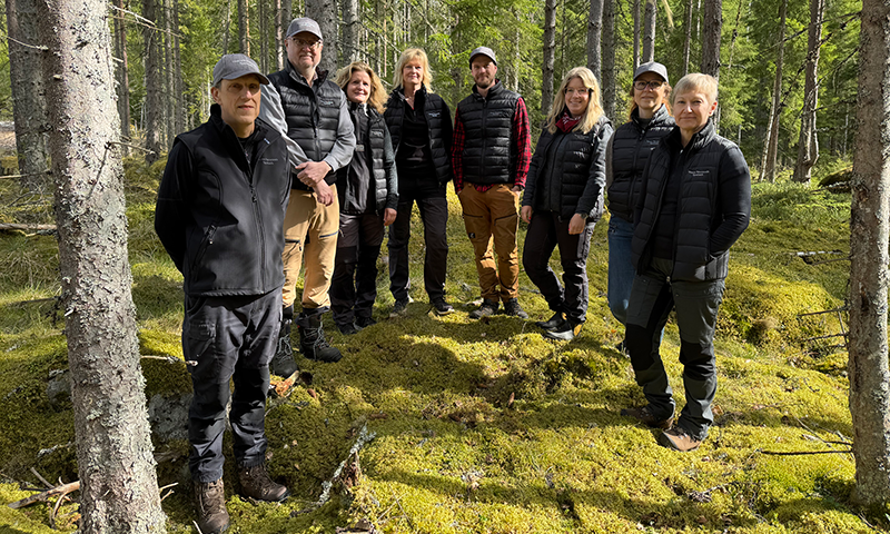 Bankens skogsspecialister